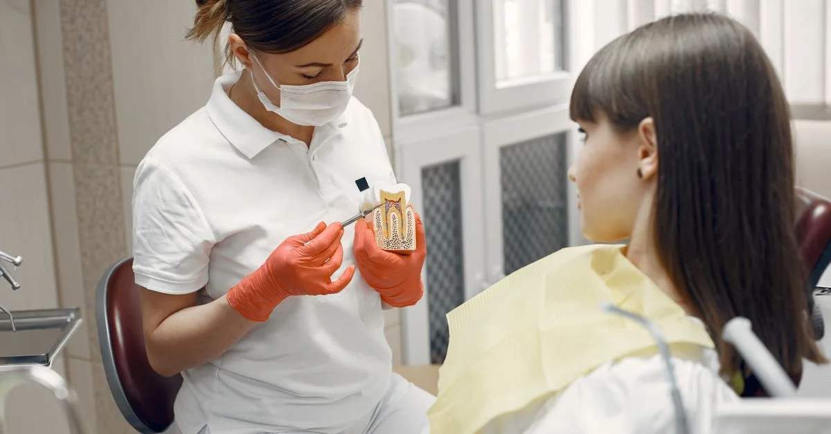 Dentiste discutant d'un modèle de dent avec un patient dans un cadre clinique.