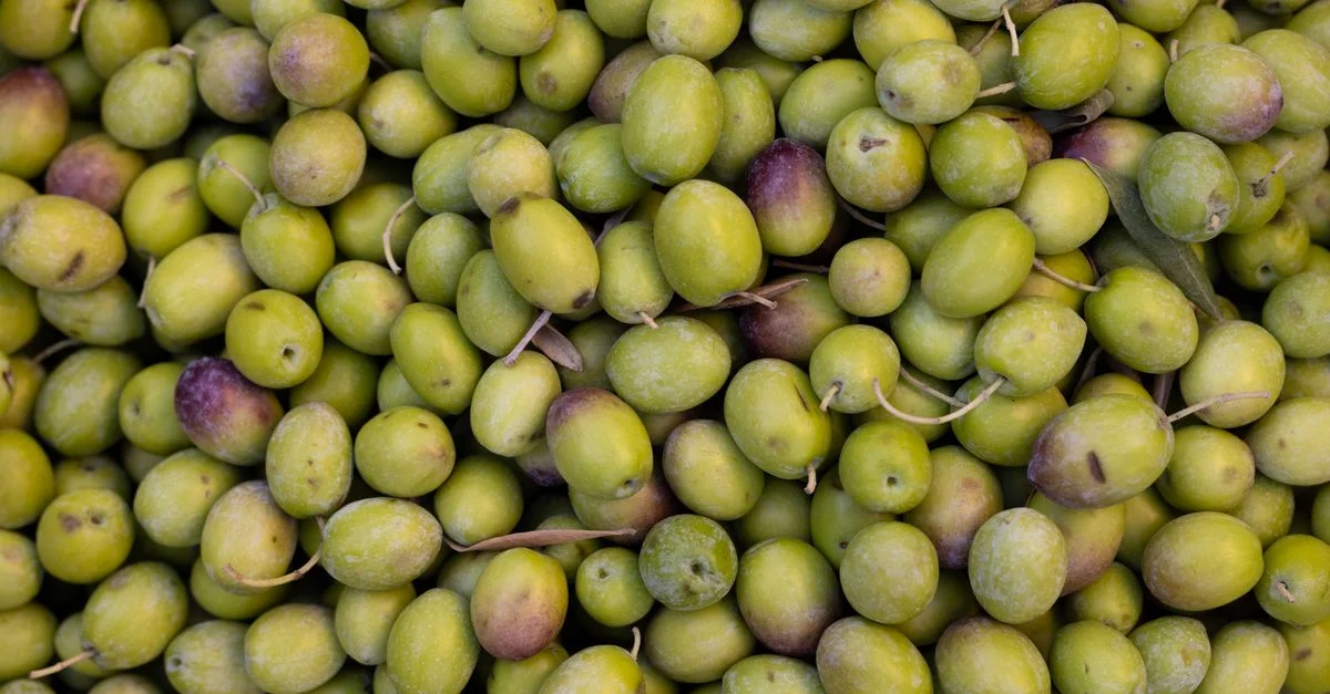 Un gros plan sur un tas d'olives vertes fraîches et biologiques avec une texture naturelle.