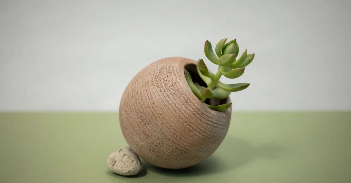 Nature morte esthétique d'une plante jade dans un pot en terre cuite rond sur une surface verte, évoquant des vibrations zen.