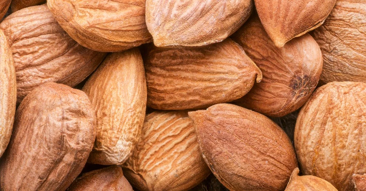 Un gros plan détaillé d'amandes non émondées mettant en valeur leur texture et leurs tons bruns terreux.