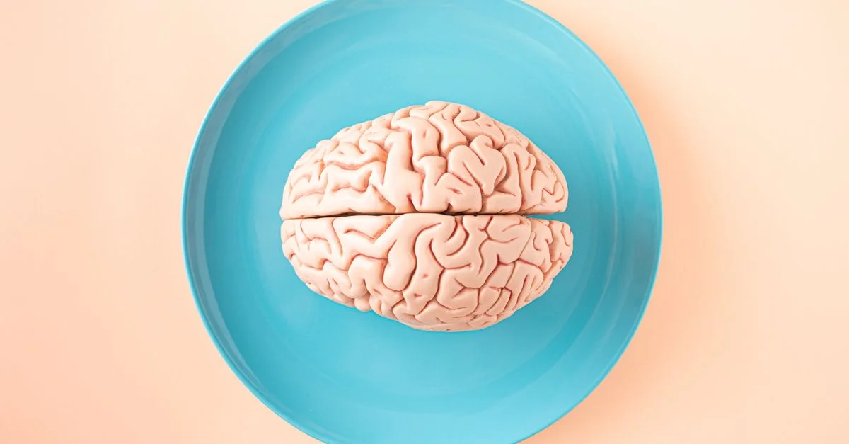 Un modèle de cerveau humain placé sur une assiette bleue, vu de haut sur un fond pastel.