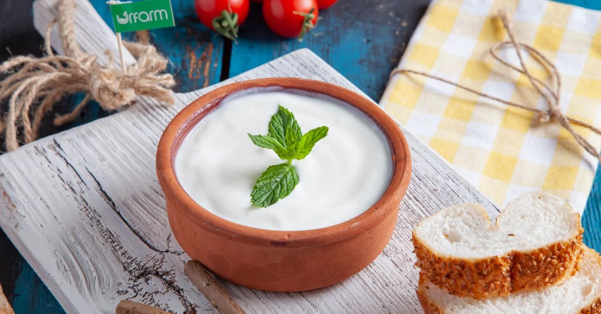 Yaourt turc authentique servi dans un bol en terre cuite avec de la menthe, des tomates et du pain au sésame sur une planche en bois rustique.