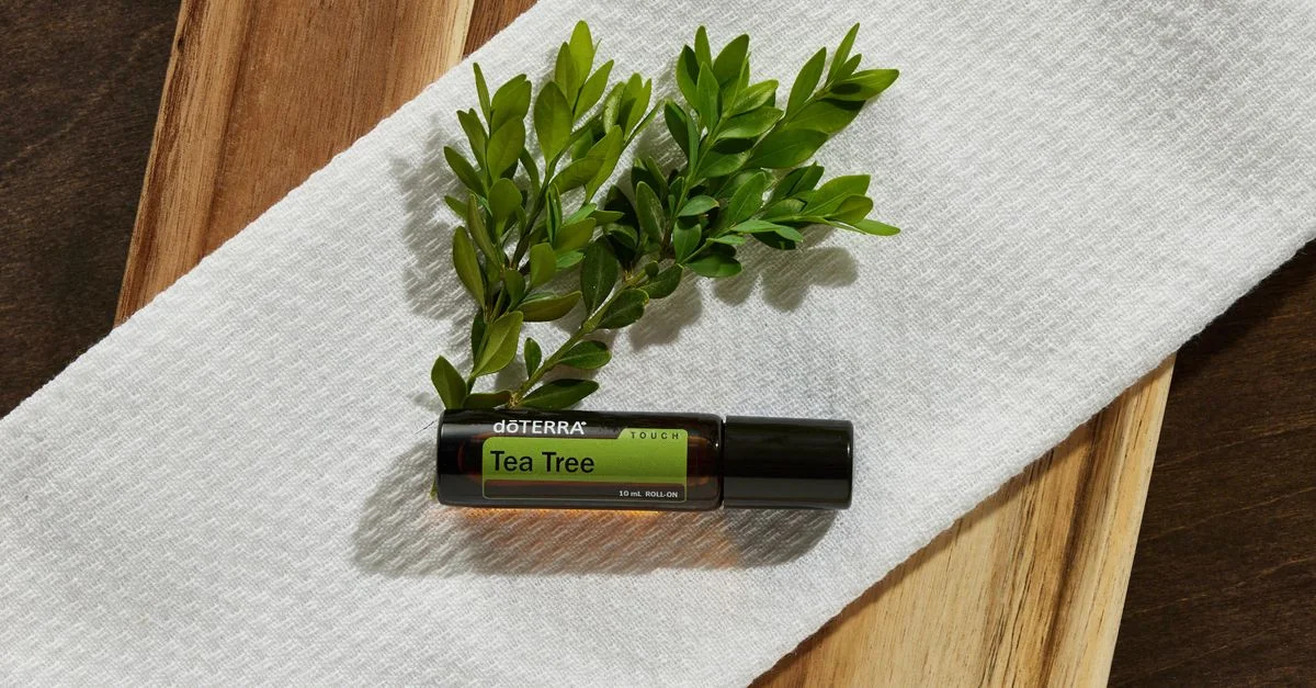 Bouteille d'huile d'arbre à thé reposant sur une serviette blanche avec une brindille verte, mettant en avant la beauté naturelle et le bien-être.